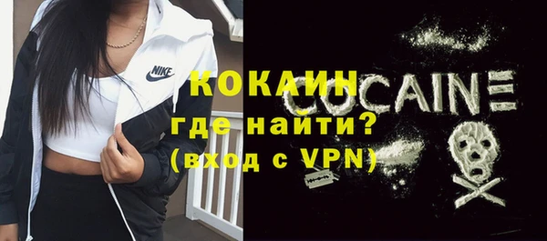 ALPHA PVP Няндома