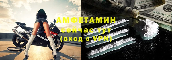 ALPHA PVP Няндома